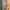 Shein Luxury Evening dress Wanita orange photo 3