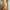 Shein Luxury Evening dress Wanita orange photo 2