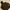 Carhartt Vintage Casual Pria brown photo 2