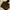 Carhartt Vintage Casual Pria brown photo 1