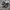 Adidas Casual Sneakers Pria black photo 3
