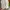 Crocs Casual Wanita white photo 3