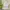 Crocs Casual Wanita white photo 2