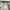 Zara Vintage Y2K Windbreaker Pria white gray photo 7
