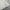 Zara Vintage Y2K Windbreaker Pria white gray photo 6