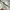 Zara Vintage Y2K Windbreaker Pria white gray photo 5