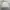 Zara Vintage Y2K Windbreaker Pria white gray photo 1
