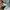 Converse Streetwear Casual shirt Pria green photo 6