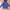 Converse Vintage Hoody Pria purple photo 1