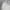 Adidas Vintage Y2K Windbreaker Pria white gray photo 2