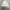 Adidas Vintage Y2K Windbreaker Pria white gray photo 1