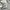 Adidas Vintage Y2K Windbreaker Pria white gray photo 6