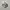 New Balance Casual Sneakers Pria silver gray photo 1