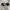 Converse Casual Sneakers Pria White Black