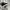 Converse Casual Sneakers Pria white black photo 4