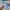 Off-White Streetwear Casual Sneakers Pria white blue photo 8