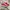 Vans Casual Sneakers Pria white red photo 1