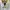 H&M Casual Baju muslim Wanita white photo 2