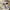 The North Face Casual Trench coat Pria white photo 2