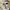 The North Face Casual Trench Coat Pria White