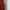 Zara Casual Cami top Wanita burgundy photo 3