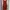 Zara Casual Cami top Wanita burgundy photo 4