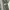 Casual Harrington jacket Pria black photo 6