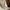 Pull & Bear Minimalist Casual Cardigan Wanita cream photo 4