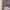 Minimalist Blazer Wanita purple photo 2