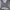 Adidas Luxury Windbreaker Pria cream gray photo 1
