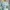 Casual Cardigan Wanita green photo 1