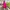 Batik Wanita pink photo 1
