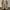Caterpillar Casual Reworked Ankle boots Pria tan brown photo 6