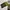 Casual Sweater Pria multicolor photo 6