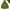 Columbia Gorpcore Pria green gray photo 1