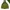 Columbia Gorpcore Pria Green Gray
