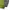 Columbia Gorpcore Pria green gray photo 6