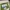 Columbia Gorpcore Pria green gray photo 4