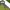 Columbia Gorpcore Pria green gray photo 3