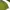 Columbia Gorpcore Pria green gray photo 7