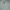 Uniqlo Minimalist Casual Fleece Pria green gray photo 2