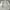 Wolsey Minimalist Casual Harrington jacket Pria cream tan photo 3
