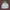 Polo Ralph Lauren Vintage Streetwear Hoody Pria white photo 1