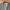 Givenchy Luxury Minimalist Blazer Pria gray photo 3