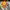 Avant Garde Stroller Kids yellow photo 1