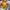 Avant Garde Stroller Kids yellow photo 4