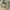 Avant Garde Stroller Kids cream photo 3