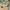 Avant Garde Stroller Kids cream photo 1