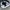 Dickies Streetwear Pria black photo 3