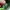 Nike Sportswear Sneakers Pria green photo 6